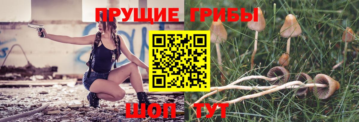 Кохма  Галлюциногенные грибы мухоморы  Вход с VPN  Галлюциногенные грибы мухоморы 